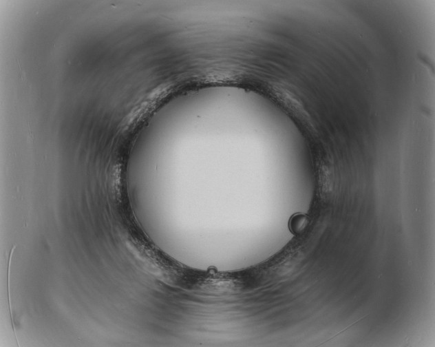 X0000102780260200809021059