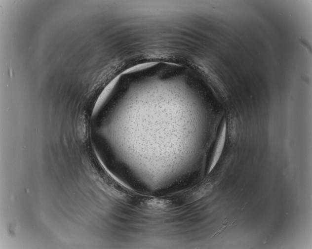 X0000102780261200809021059