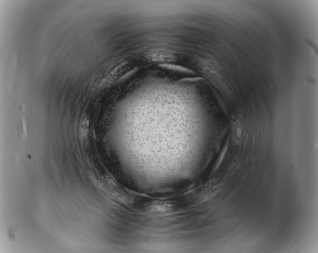 X0000102780263200809021059