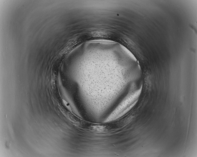 X0000102780265200809021059