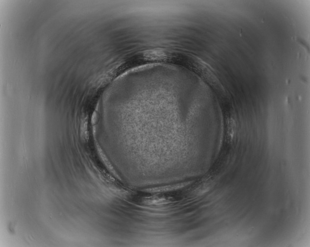 X0000102780267200809021059