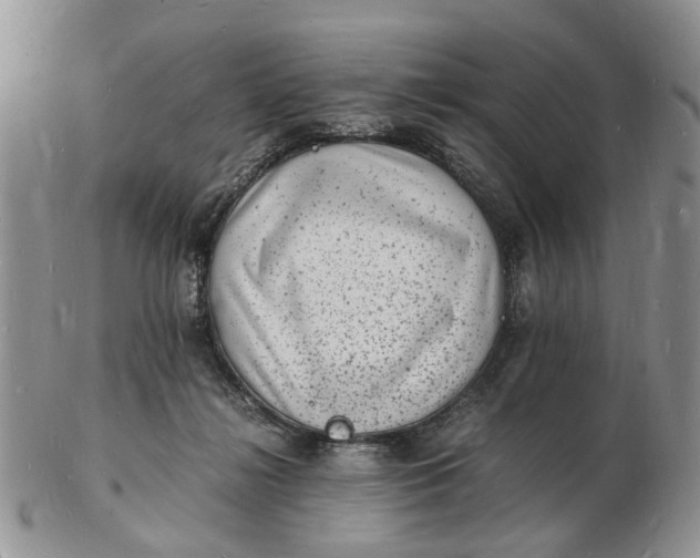 X0000102780268200809021059