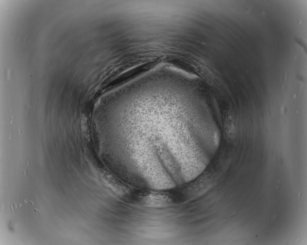 X0000102780270200809021059