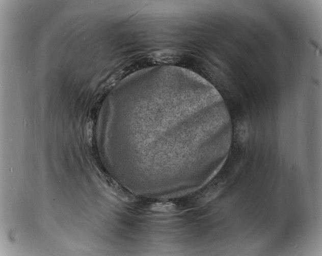 X0000102780271200809021059