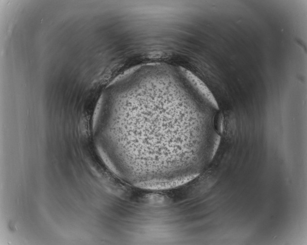 X0000102780272200809021059