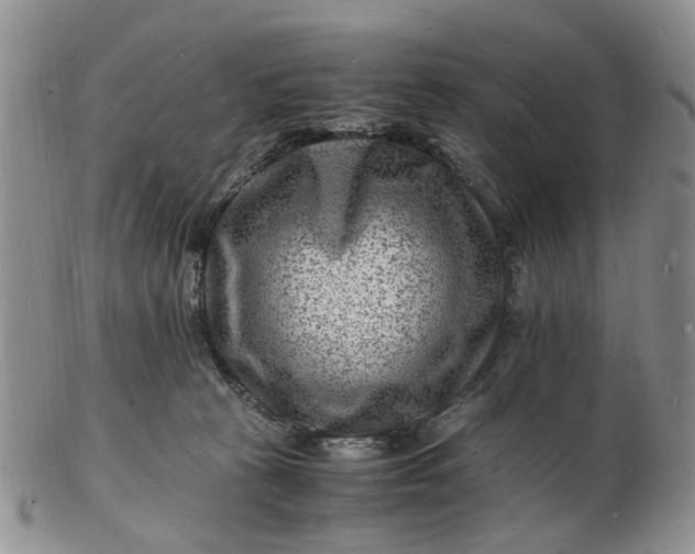 X0000102780273200809021059