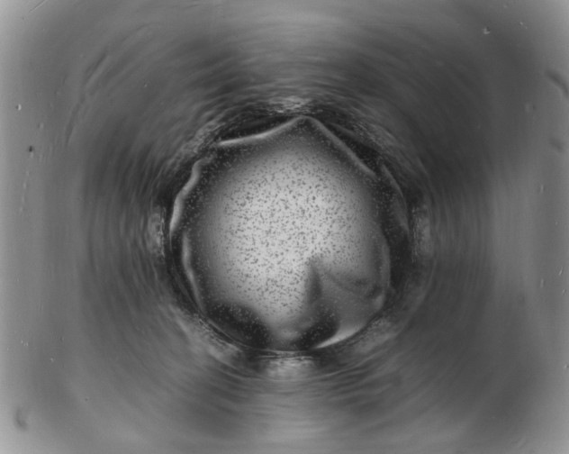 X0000102780274200809021059