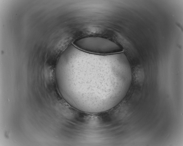 X0000102780276200809021059