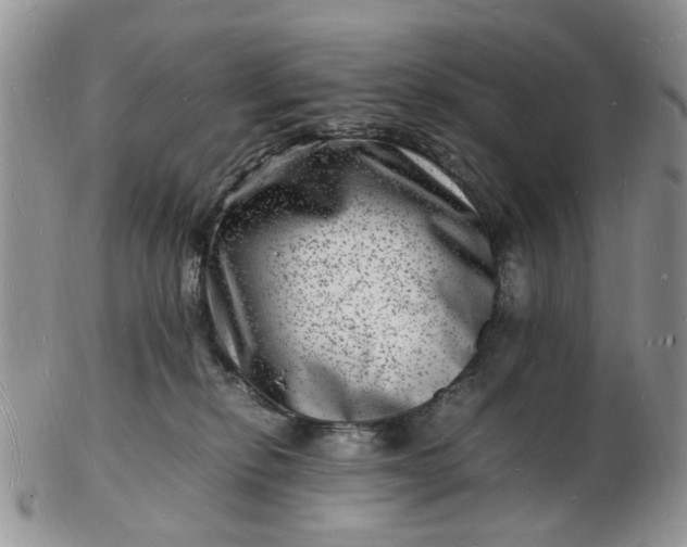 X0000102780278200809021059