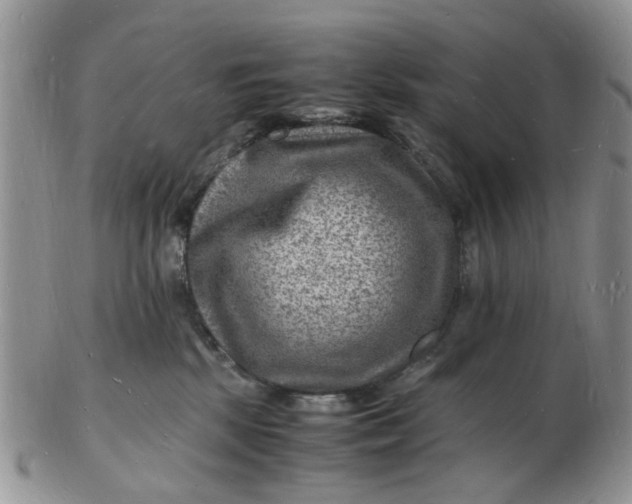 X0000102780281200809021059