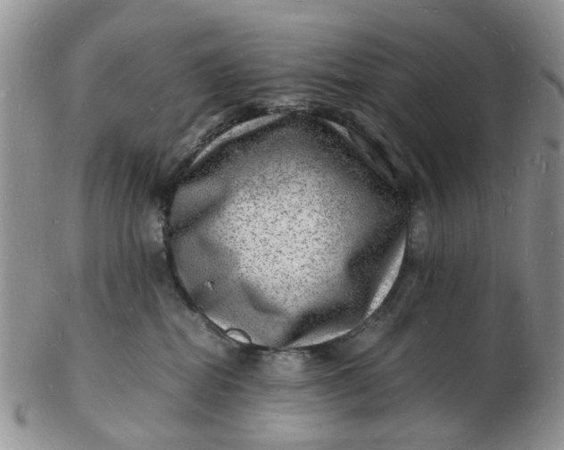 X0000102780282200809021059