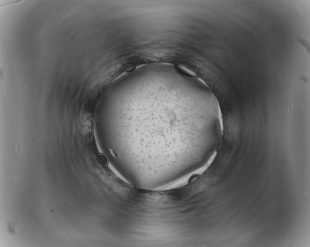 X0000102780284200809021059