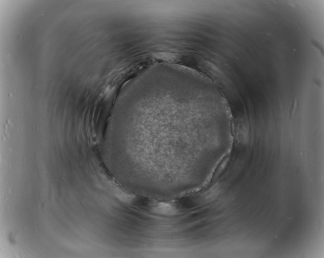 X0000102780285200809021059