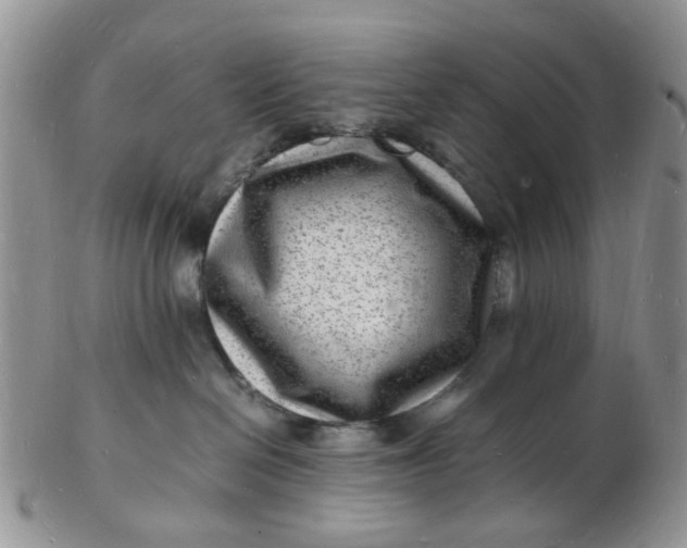 X0000102780286200809021059