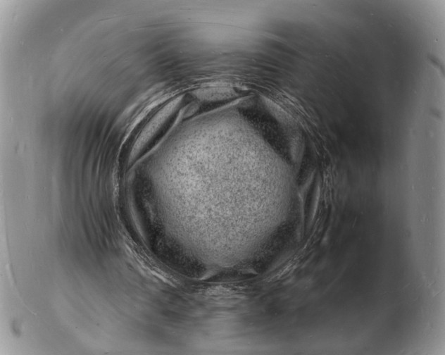 X0000102780290200809021058