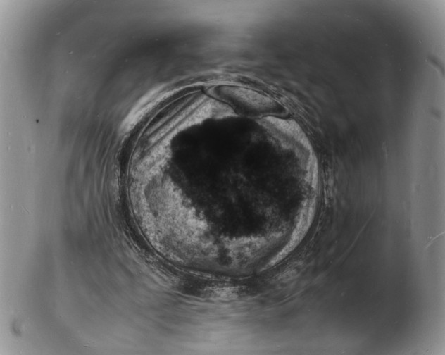 X0000102780295200809021058