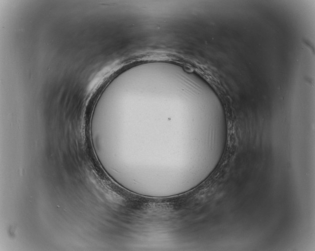 X0000102780296200809021058