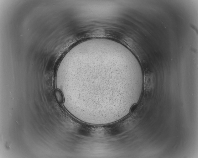 X0000102780301200809021058