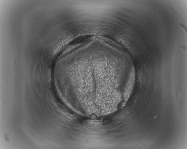 X0000102780303200809021058