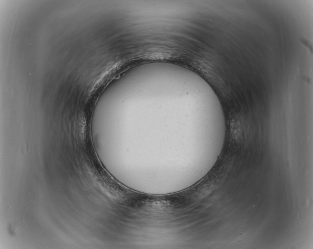 X0000102780304200809021058