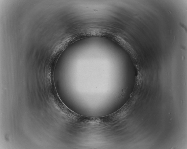 X0000102780306200809021058