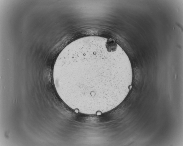 X0000102780313200809021058