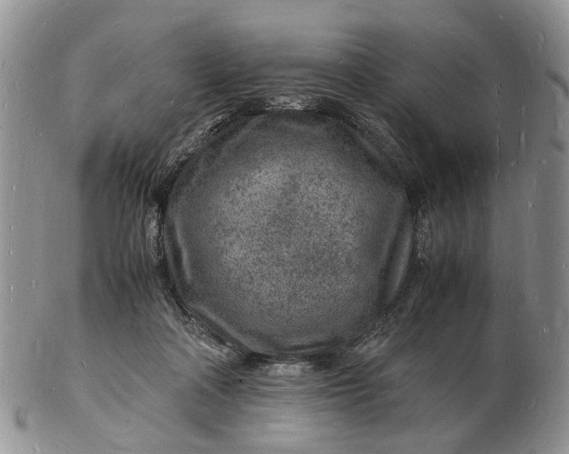 X0000102780314200809021058