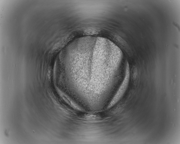 X0000102780315200809021058