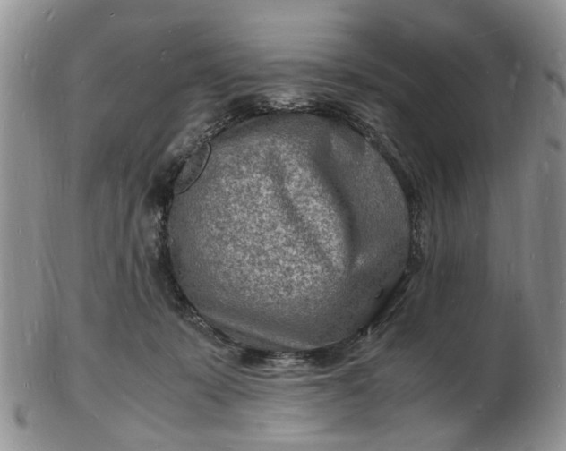 X0000102780319200809021058