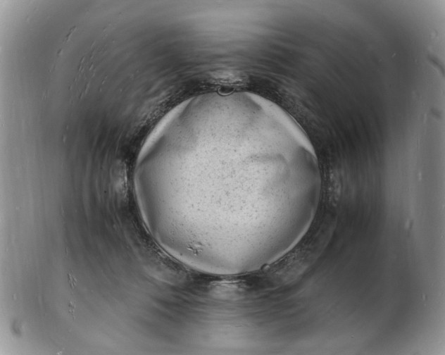 X0000102780320200809021058