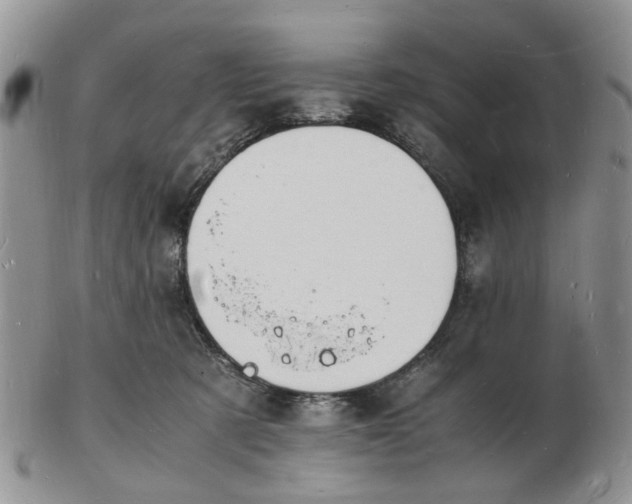 X0000102780321200809021058