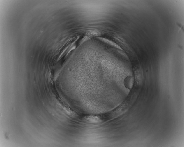 X0000102780322200809021058