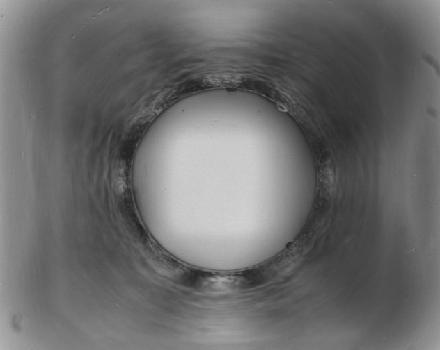 X0000102780323200809021058