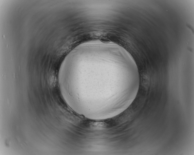 X0000102780324200809021058