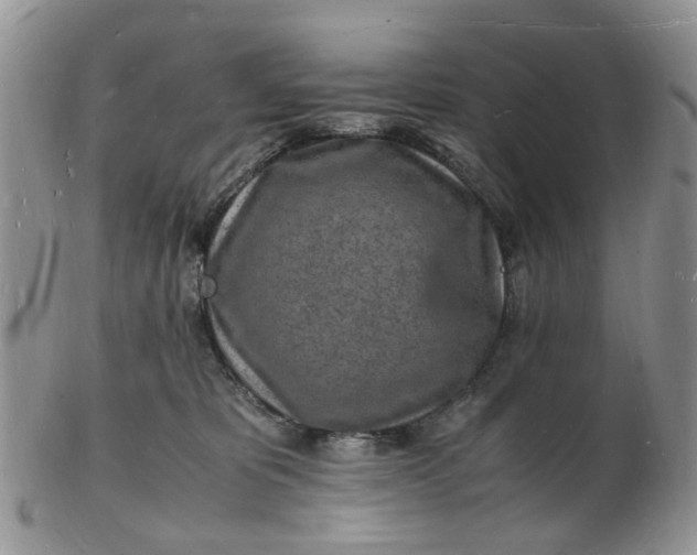 X0000102780325200809021058