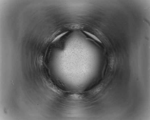 X0000102780326200809021058