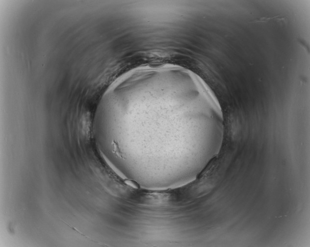 X0000102780328200809021058