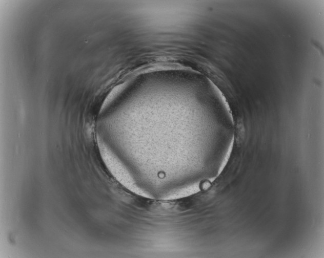 X0000102780329200809021058