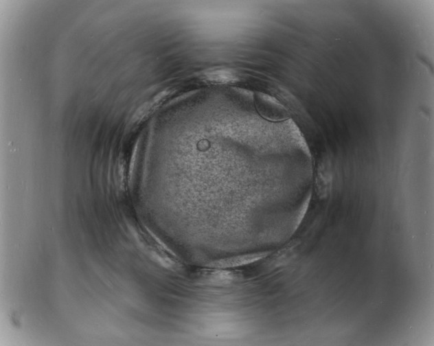 X0000102780330200809021058