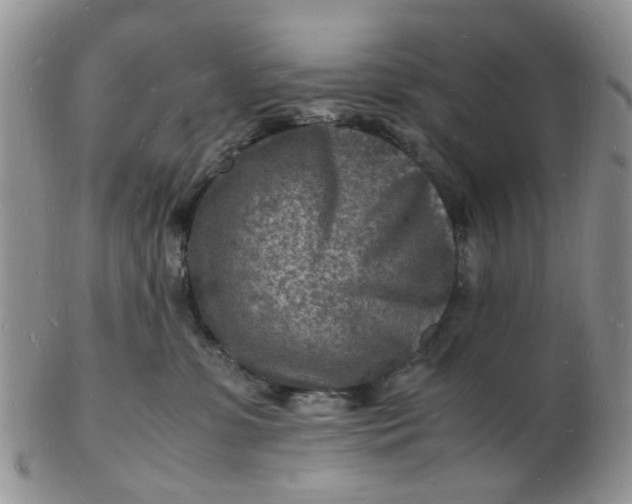 X0000102780331200809021058