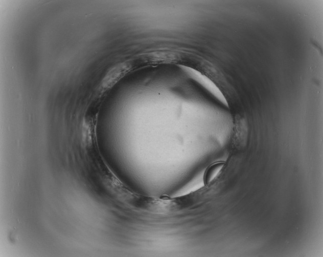 X0000102780333200809021058