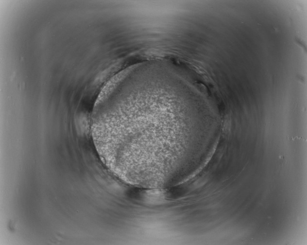 X0000102780335200809021058