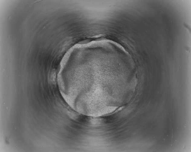 X0000102780336200809021058