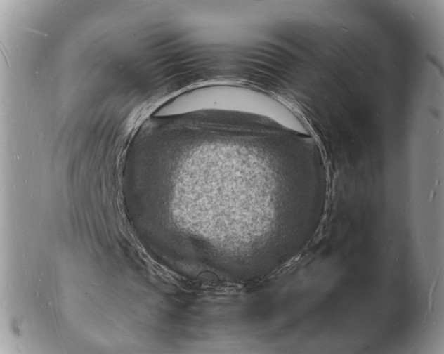 X0000102780337200809021057