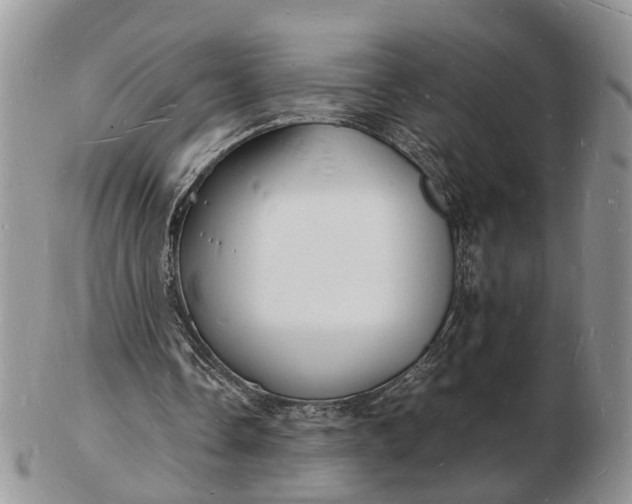 X0000102780338200809021057