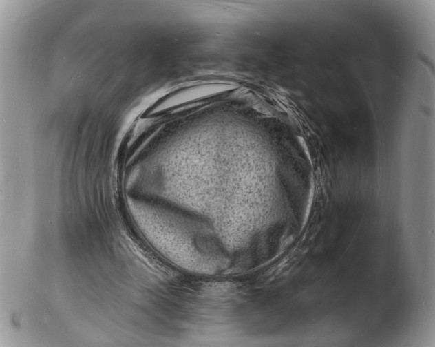 X0000102780342200809021057