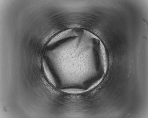 X0000102780345200809021057