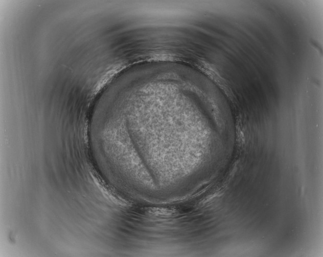 X0000102780347200809021057