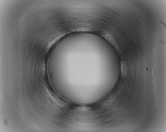 X0000102780348200809021057