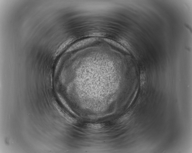 X0000102780349200809021057